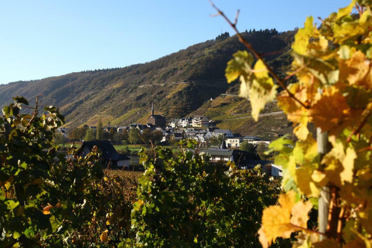 Ferienwohnung Moselblick-Stein Valwig Zewnętrze zdjęcie